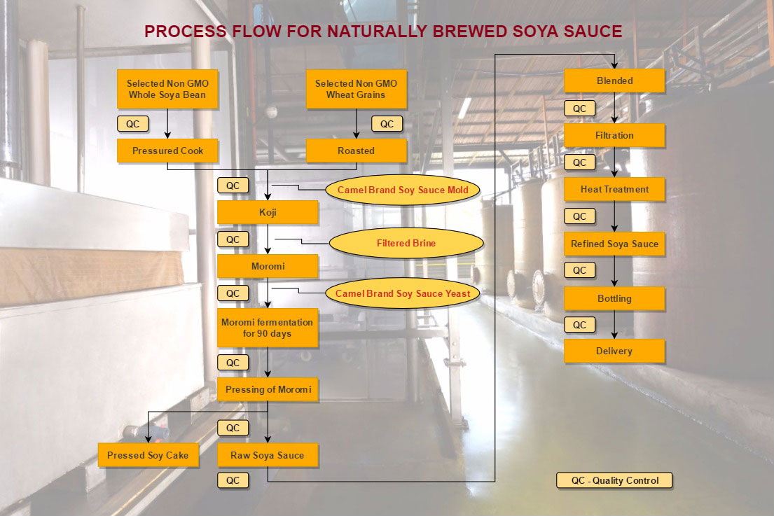 Soy Sauce Process