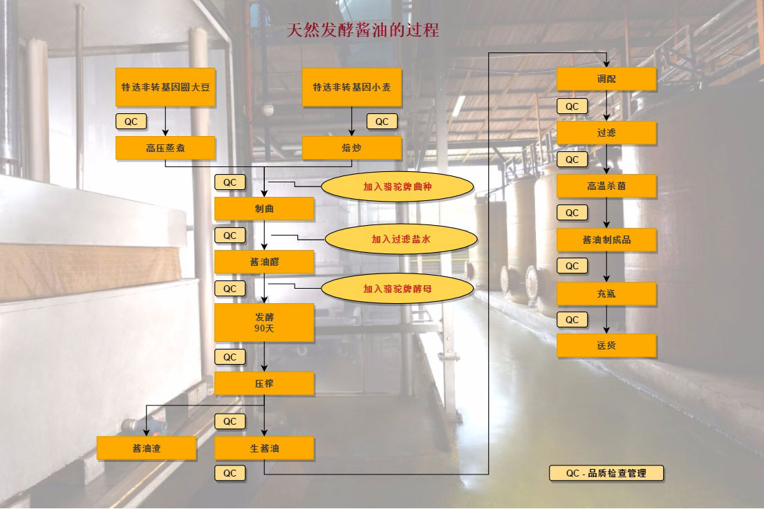 Process Flow